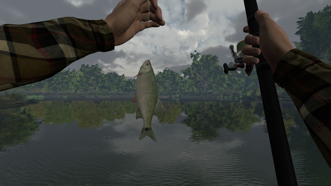 how to play steam fishing planet