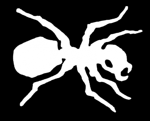 Картинка продиджи муравей