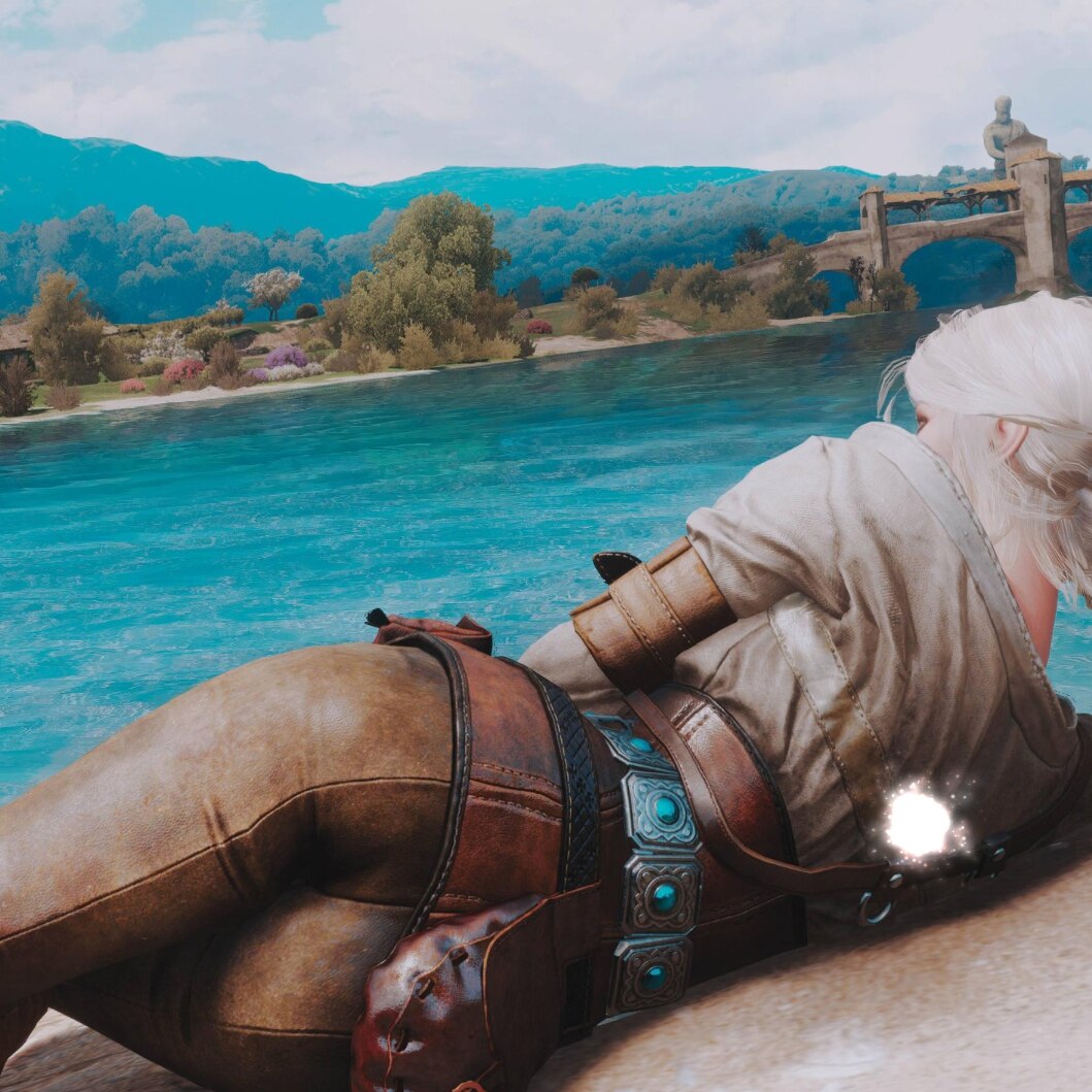 【The Witcher 3】多动态元素壁纸