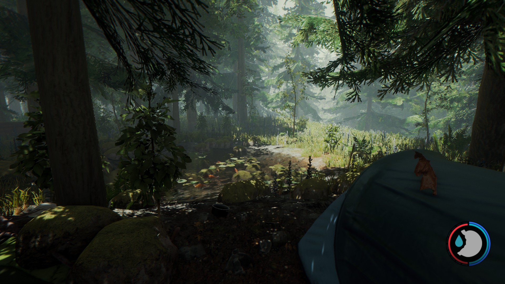Steam Community :: Guide :: The Forest Map And Infos