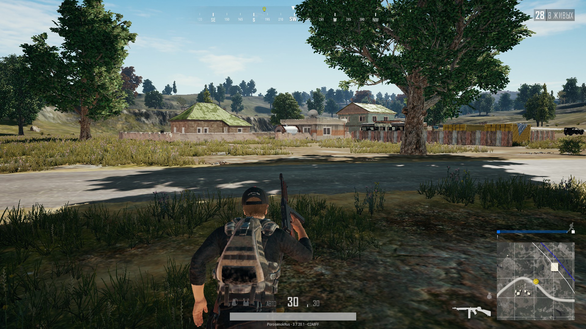 Виды крыс в PUBG