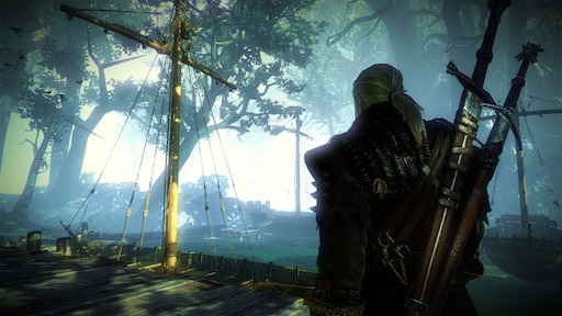 The witcher 2 assassins of kings стим фото 40