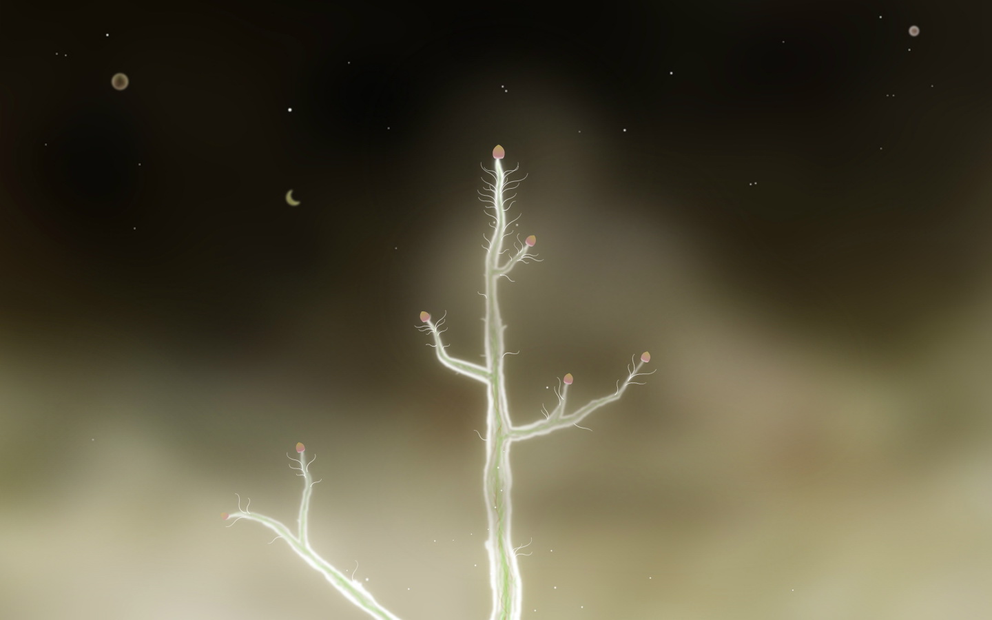 Steam Community :: Botanicula