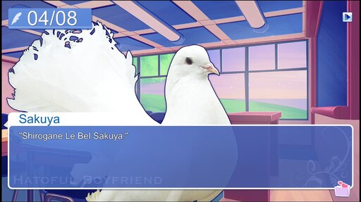 Игра голубей фото Игра голубей фото