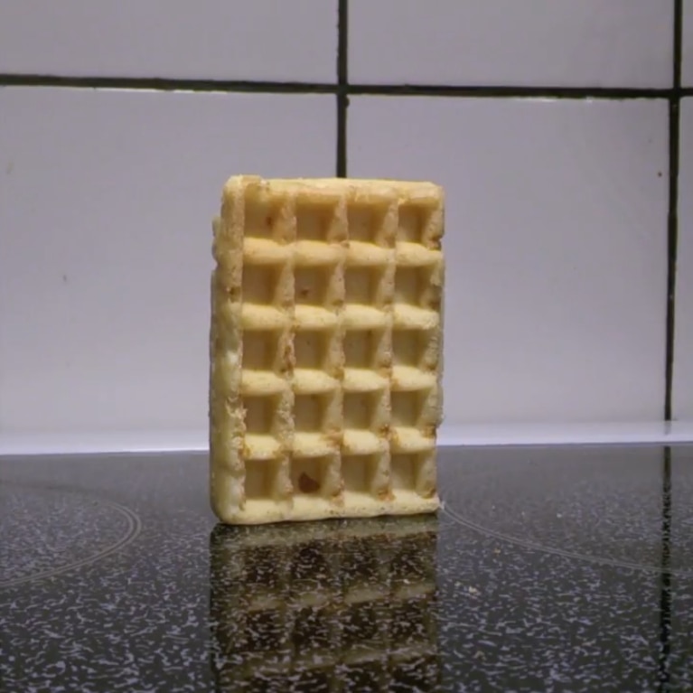 Waffle Falling Over