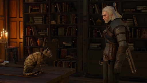 Witcher 3 school of the cat witcher фото 93