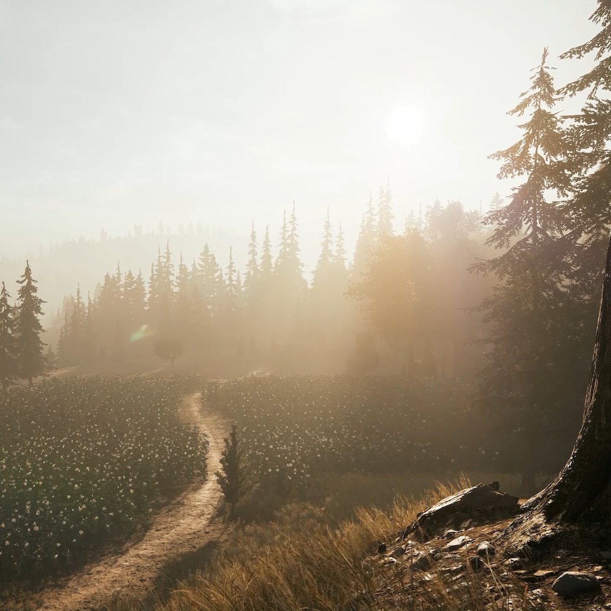 Far Cry 5 Morning