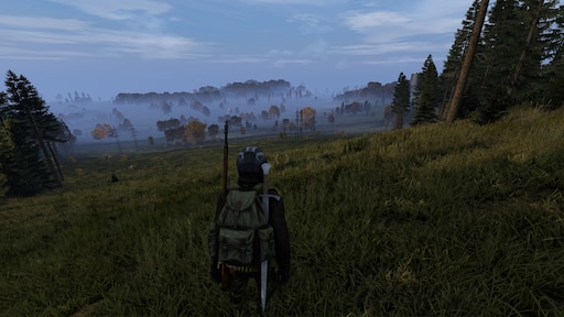 Can you get dayz on steam фото 36