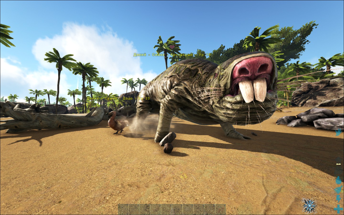 ark survival evolved