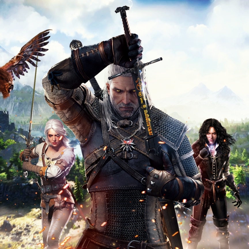 the witcher
