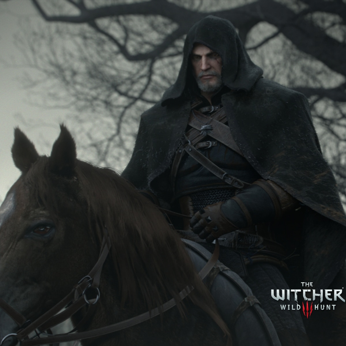 The three the witcher main menus.