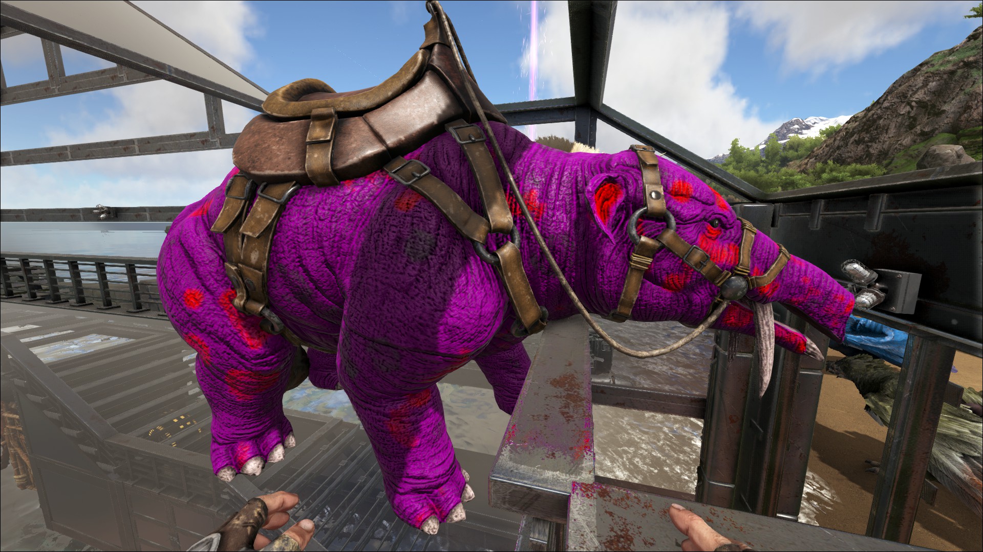 Pink and white allo named valentine, and my giga named The Dark Knight :  r/ARK