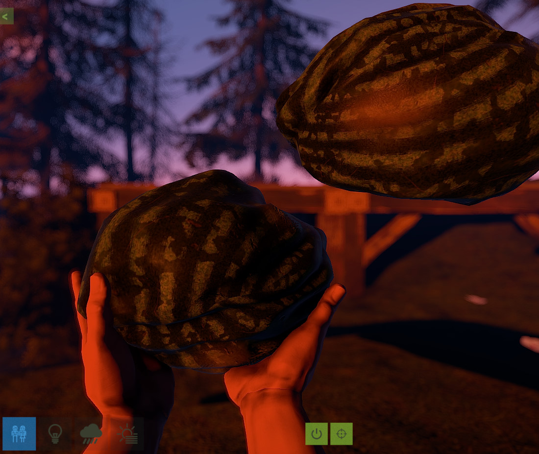 Ripe Watermelon thumbnail 5