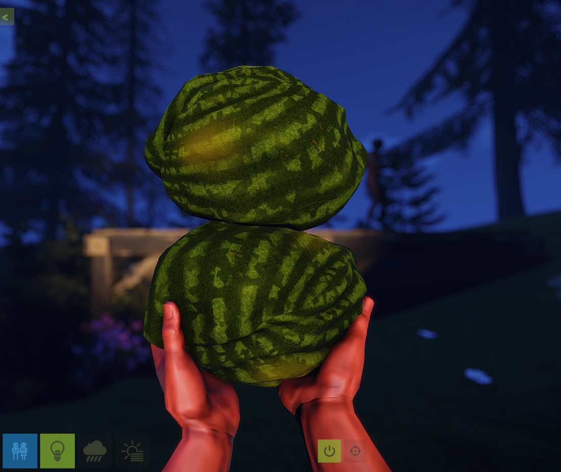 Ripe Watermelon thumbnail 3