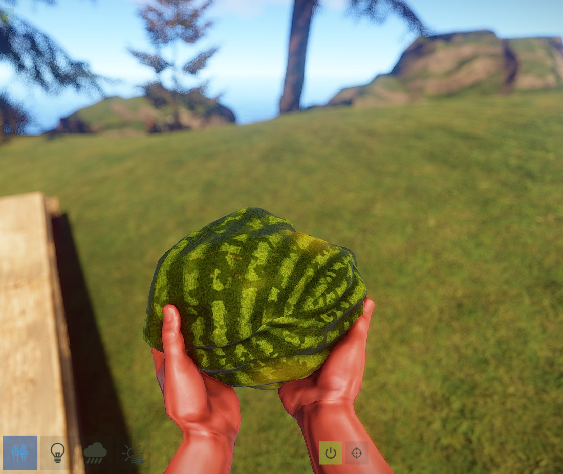 Ripe Watermelon thumbnail 2