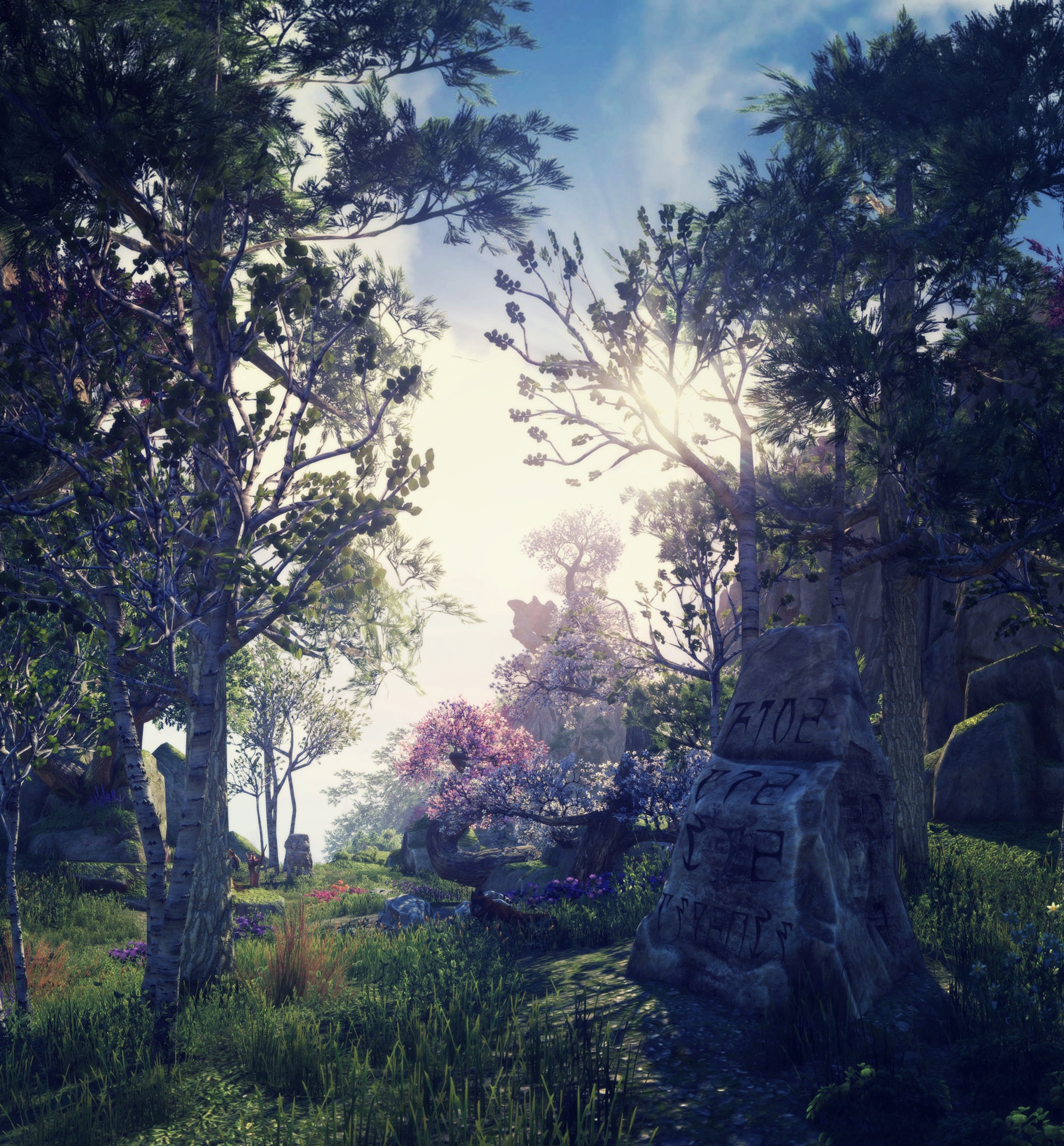 the elder scrolls online steam