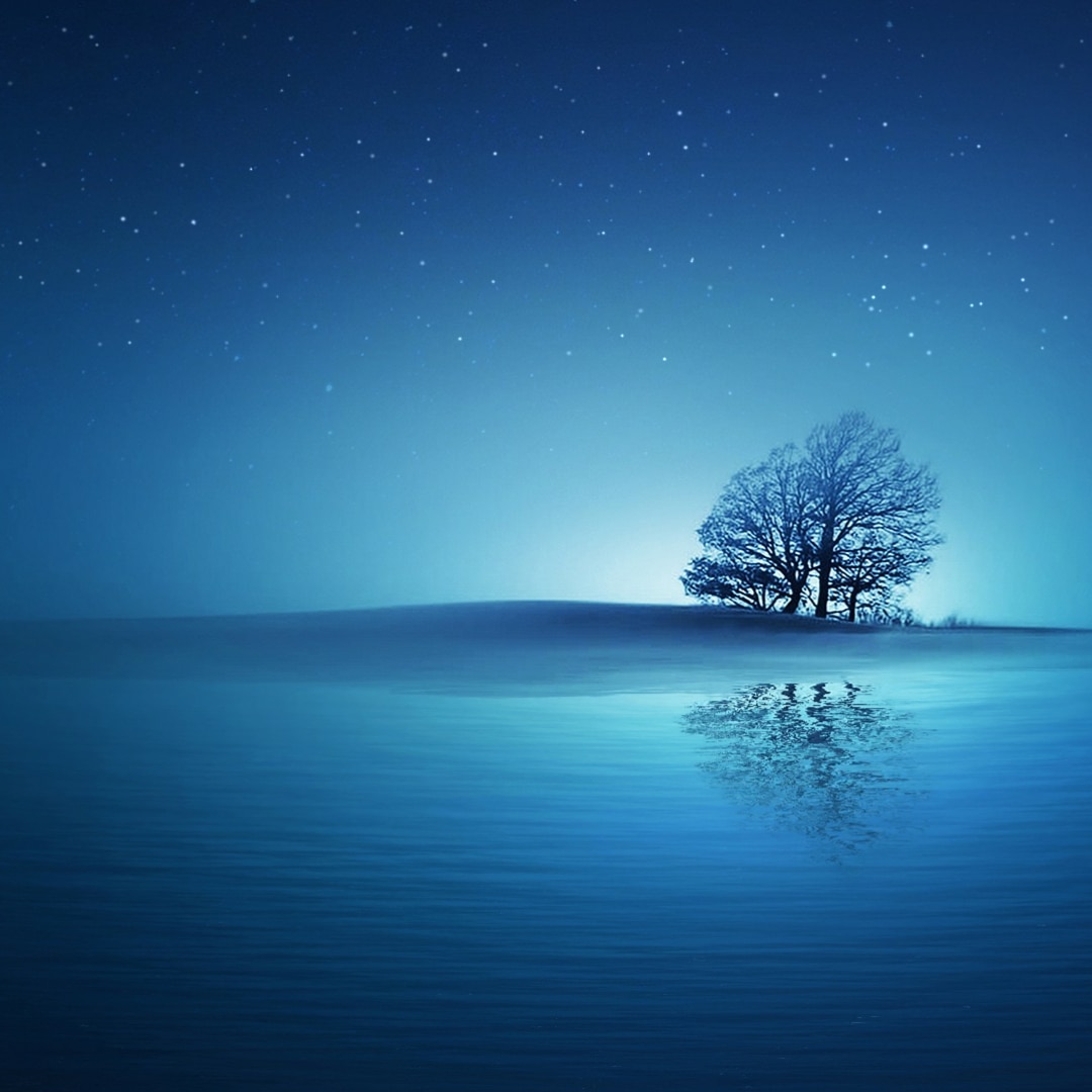 A night under the stars