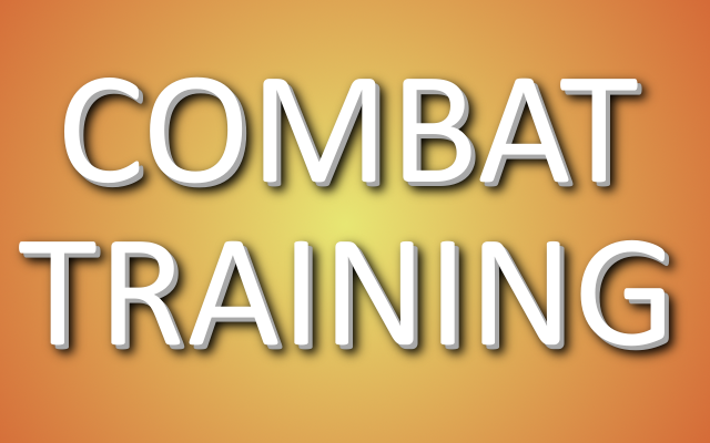 Combat Training Skymods