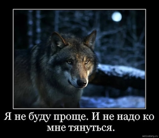Волк одиночка фото прикол Волк одиночка фото прикол