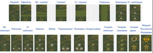 Правильное расположение лычек на погонах Правильное расположение лычек на погонах