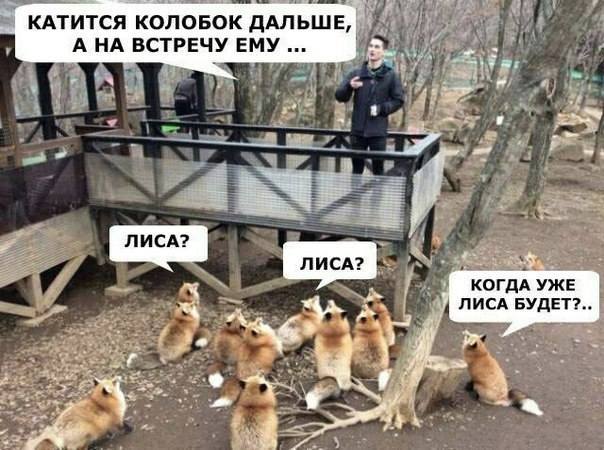 Steam Community :: :: лисиябанда