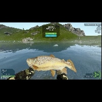 Ultimate Fishing Simulator, Bottom Fishing, Fish Level System Removed 