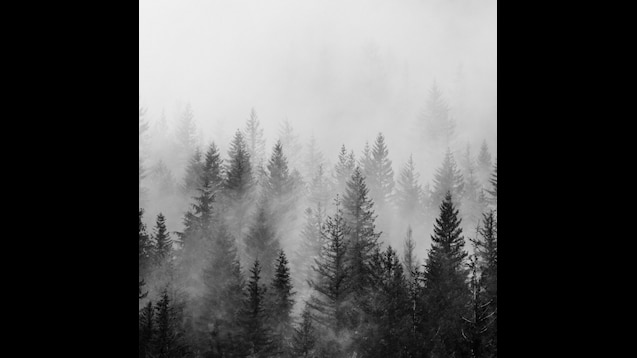 Steam Workshop::Black And White Landscape With Fog