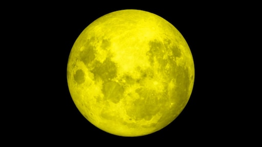 Луна как желтый медведь. Желтая Луна. Круглая желтая Луна. Ярко желтая Луна. Яркая Луна.
