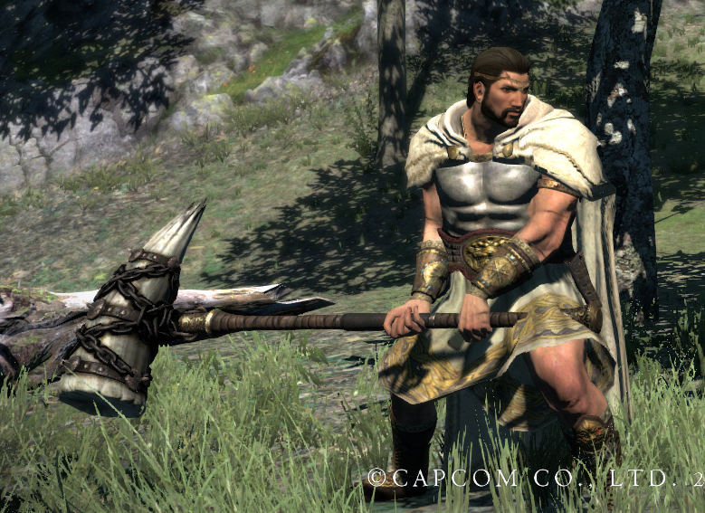 Featured image of post Dragon&#039;s Dogma Best Assassin Armor / Do you like this video?