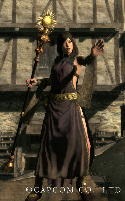 Featured image of post Dragon s Dogma Sorcerer Build The vocation has access to some older skills like comestion and frigor which can be