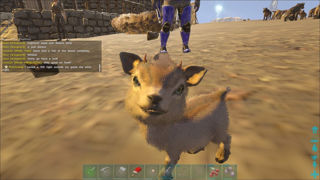 Steam Community :: Screenshot :: Cute baby goat