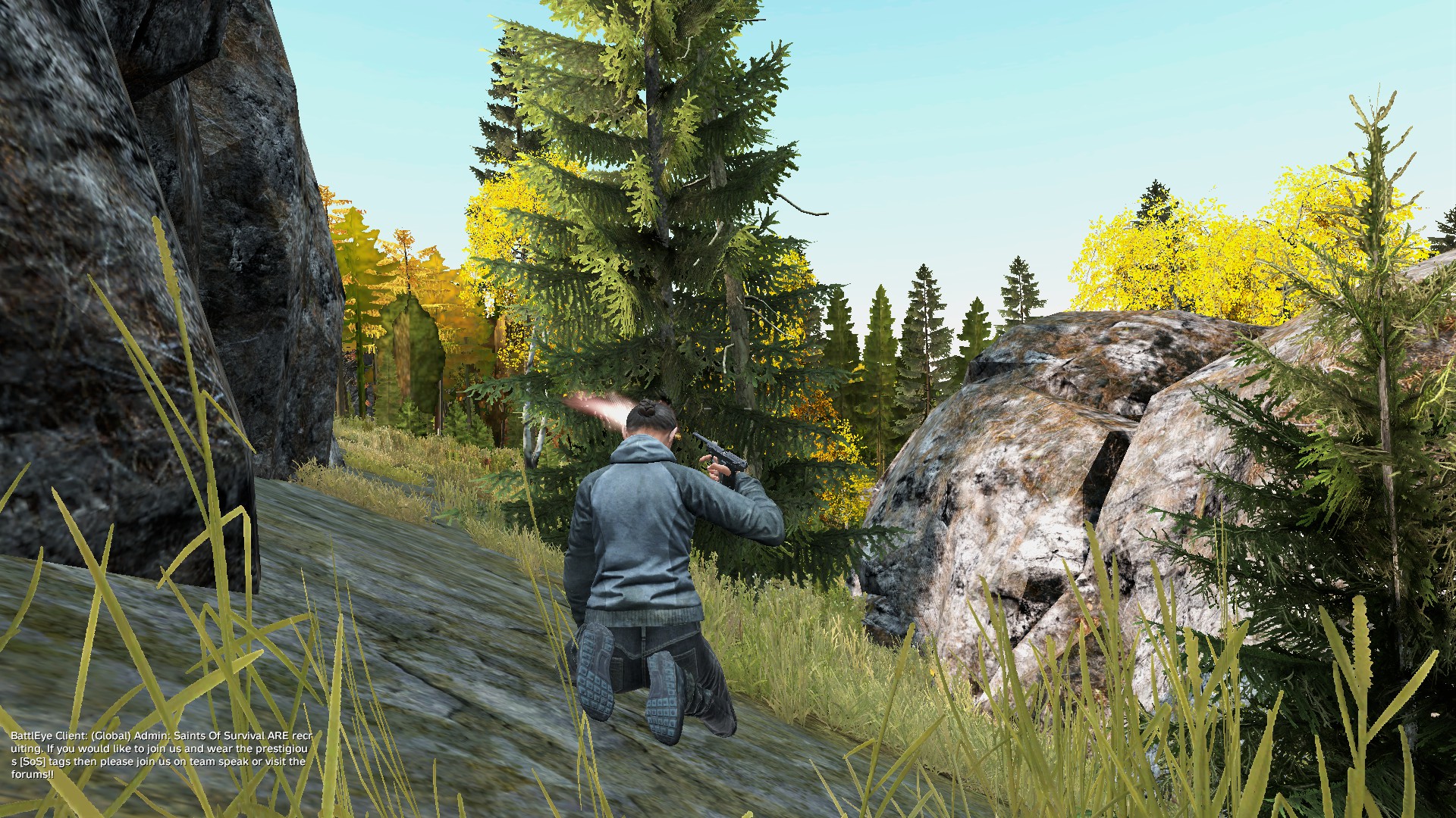 Dayz nl что это