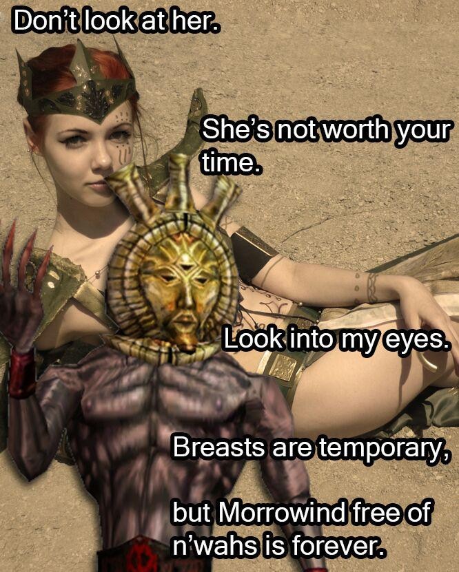 vounoura NPCs in Morrowind before u bribe them for approval: trying to heal  .. please donate to my go fund me $10 will make me less racist  $100 will make me