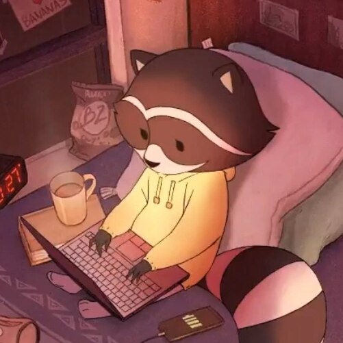 Lo-fi Raccoon