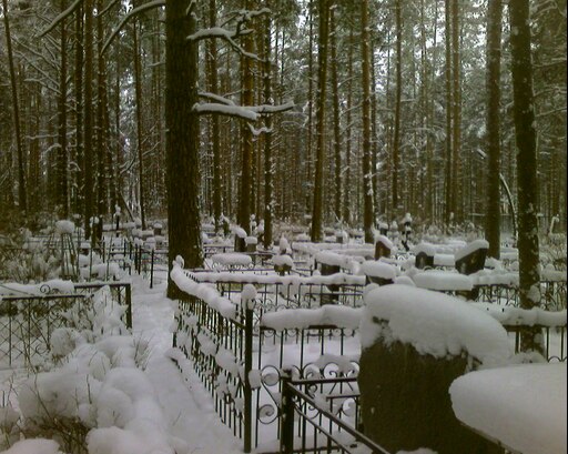 Кладбище зимой фото Кладбище зимой фото