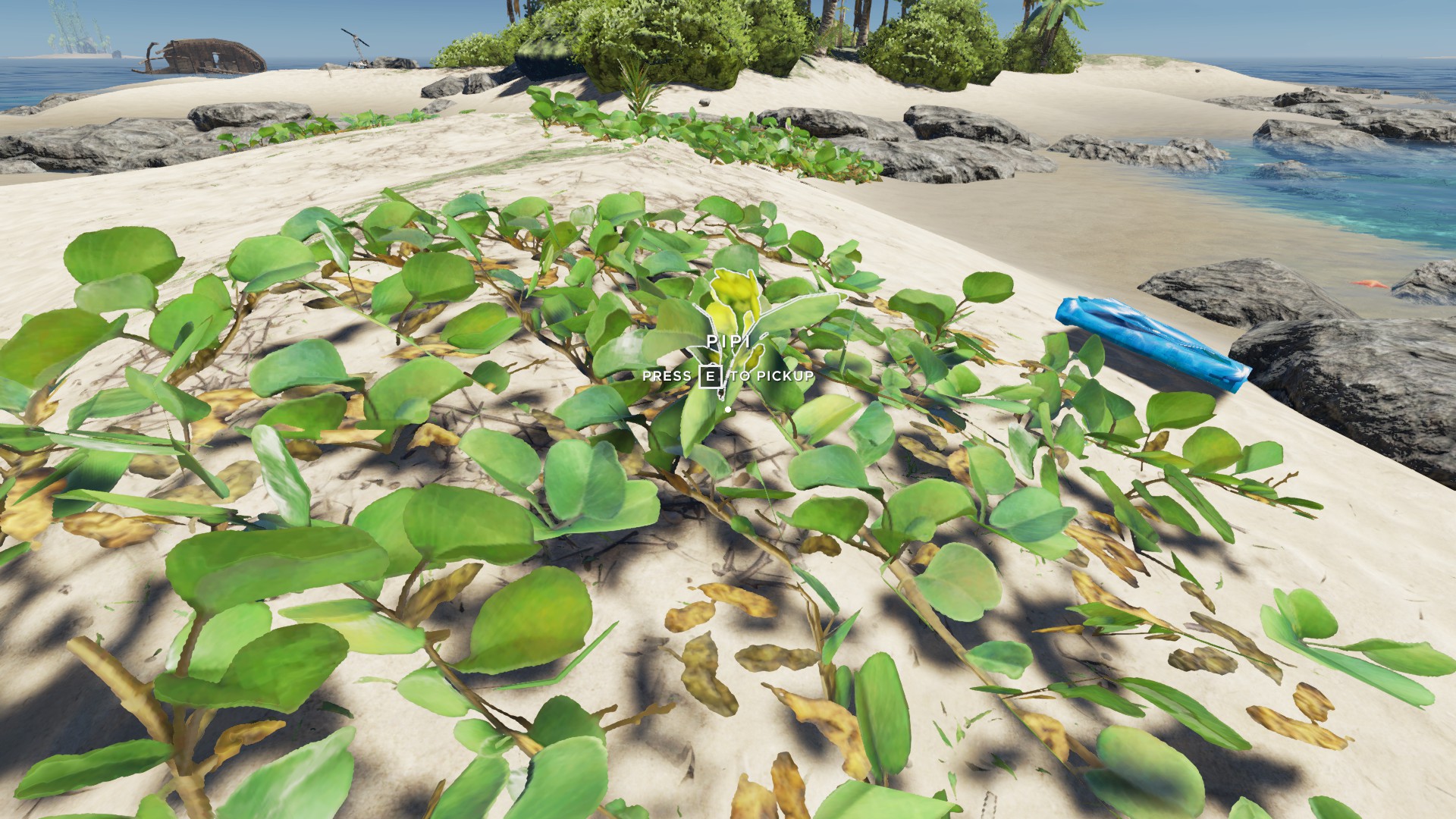All My Plants Died, Stranded Deep Gameplay