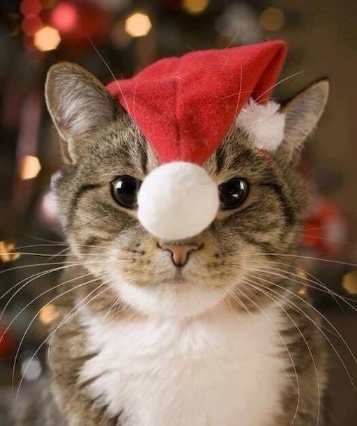 Новогодние фото на аву в ватсап Новогодние фото на аву в ватсап