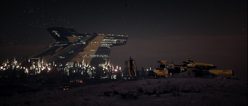 Will star citizen be on steam фото 42