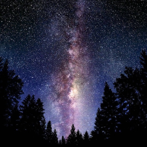 The stars is beautiful