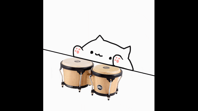 Bongo Cat Only Knows 5 Notes
