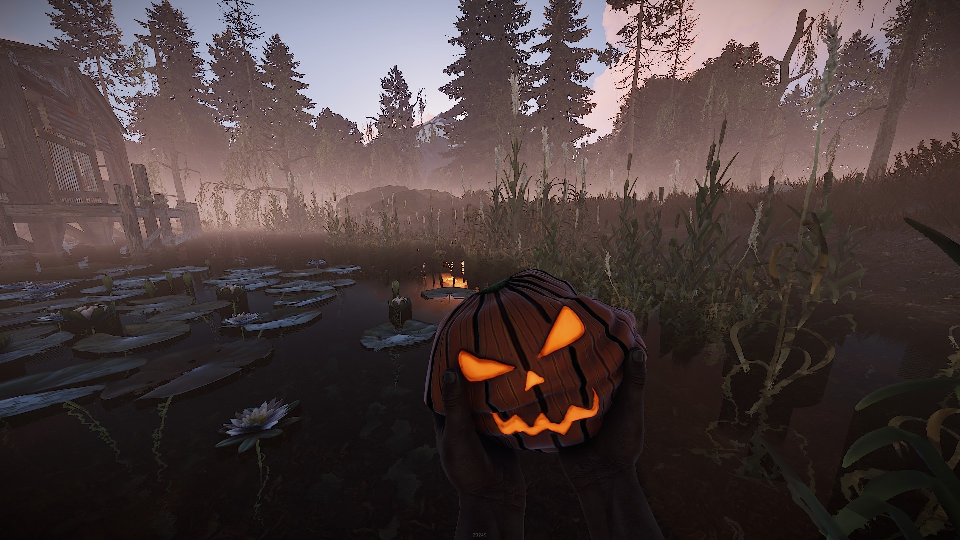 Pumpkin Rock thumbnail 5