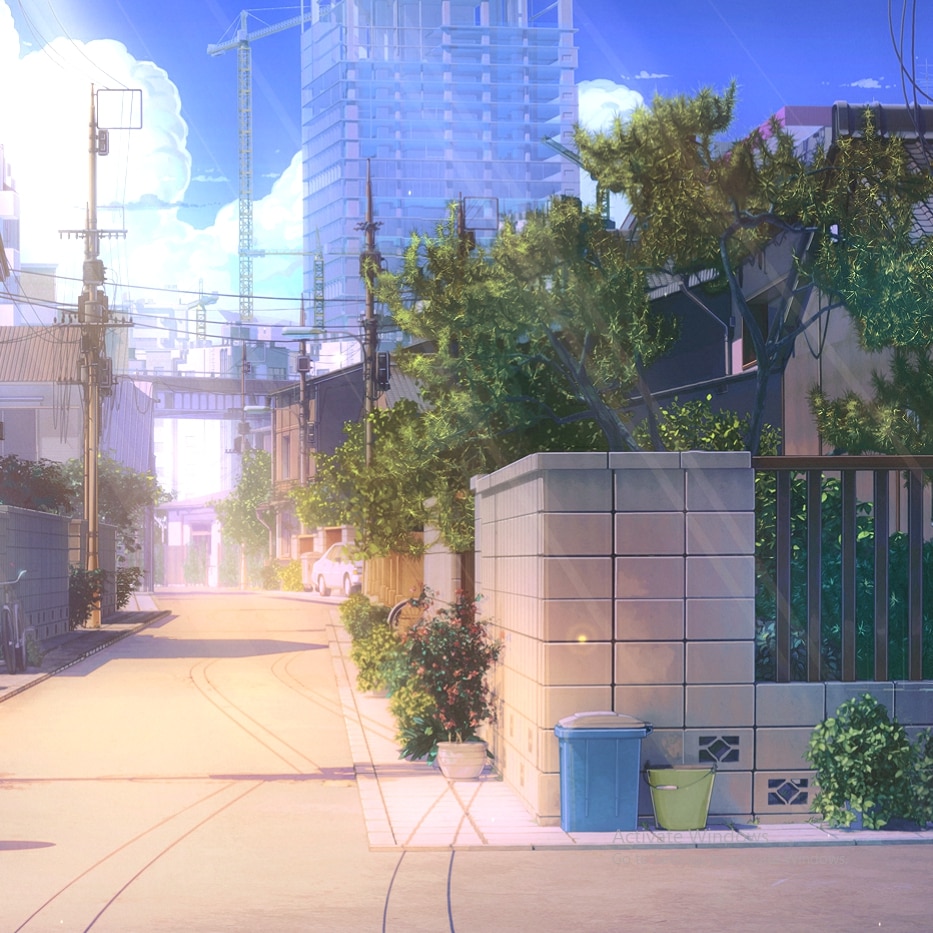 Sunny Day