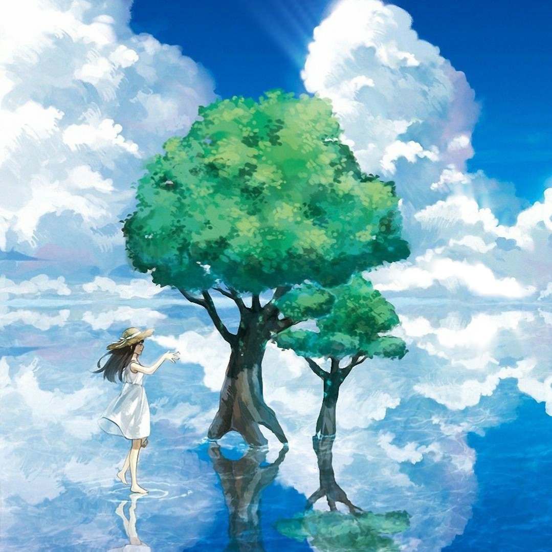 Sky high