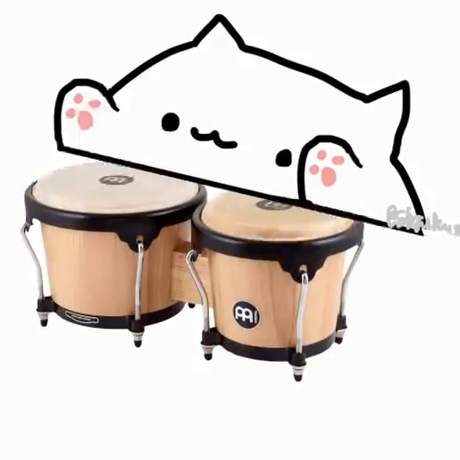 bongo cat