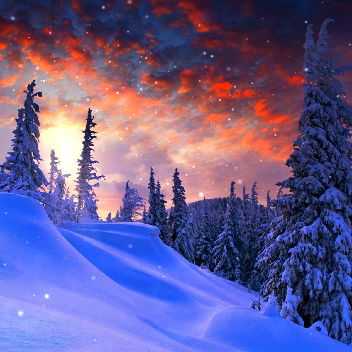 Winter Sunrise