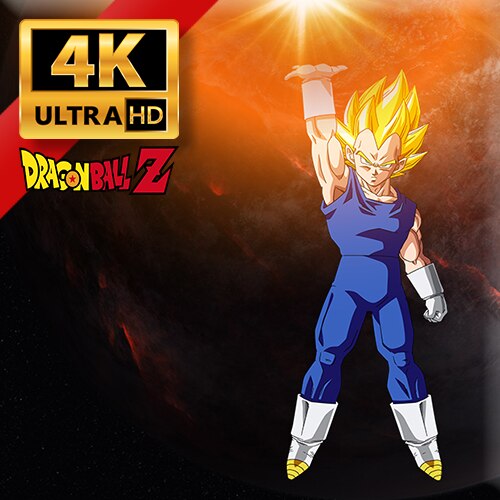 Dragon Ball Z – Vegeta 4K –