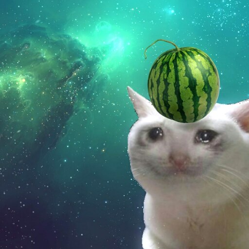 watermelon cat