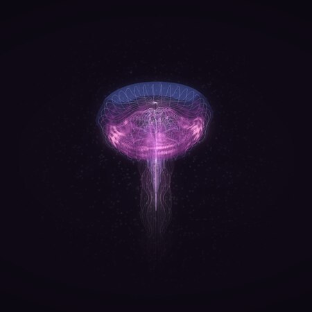 Medusae