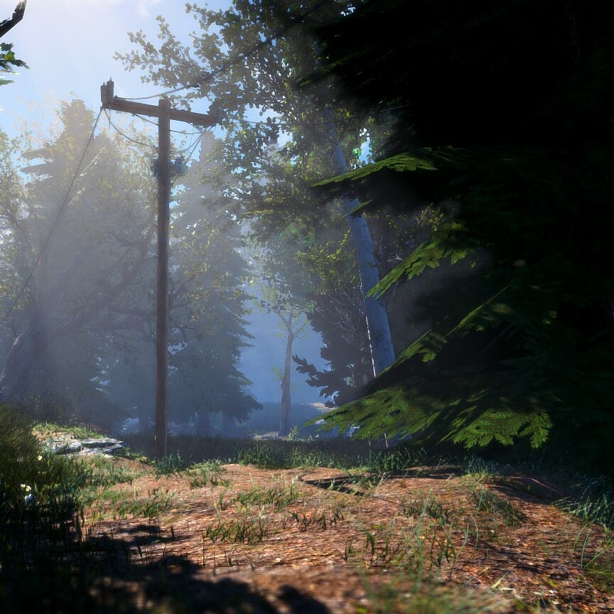 Fallout4 Forest [4]