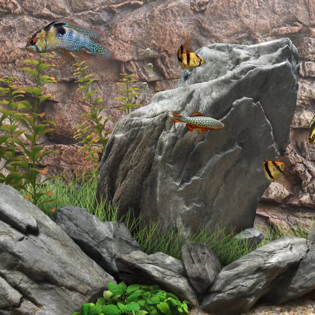 3D Fish Aquarium (4K)